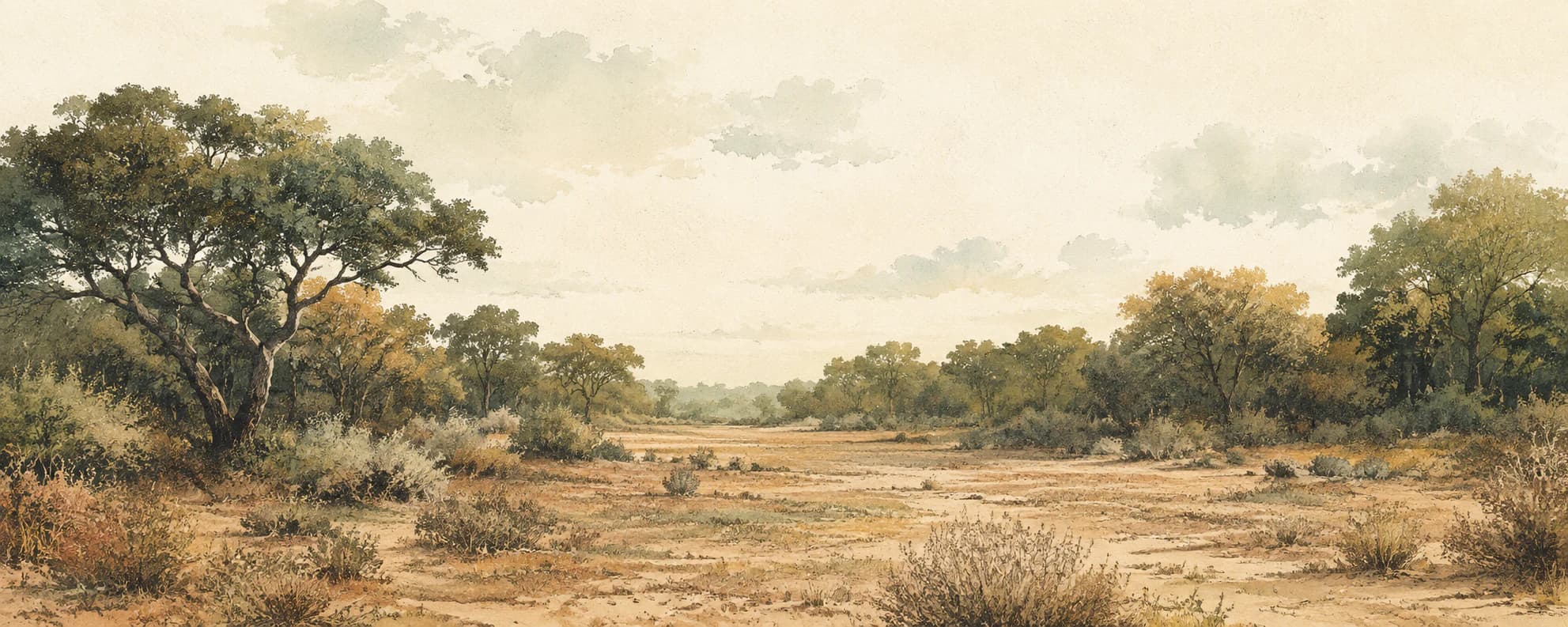 Interpretación pictórica del bosque chaqueño del Parque Nacional Copo